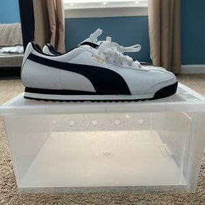 Puma Roma